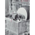 ELECTROLUX BW311  MOSOGATÓGÉP